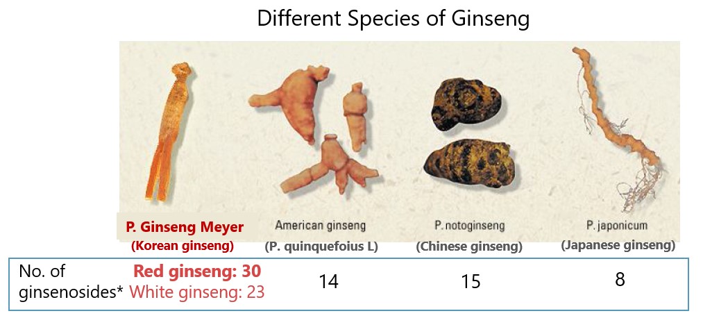 Different Species of Ginseng